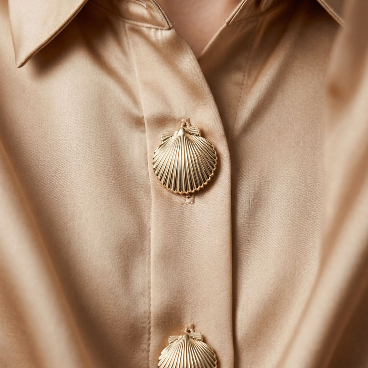 Coquille Dorée | 1 Ensemble