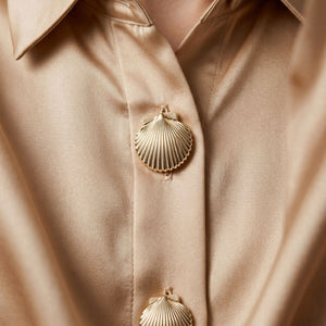 Coquille Dorée | 1 Ensemble